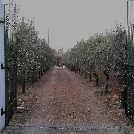 Geranio Villa Pisticci
